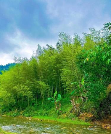 溪頭森林遊樂區住宿