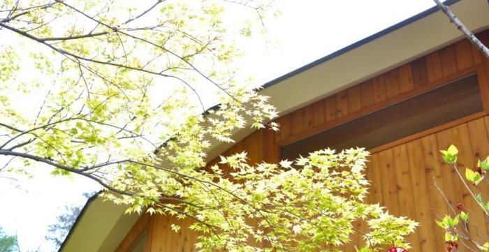 SHISHI-IWA HOUSE建築