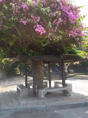 台南關子嶺住宿